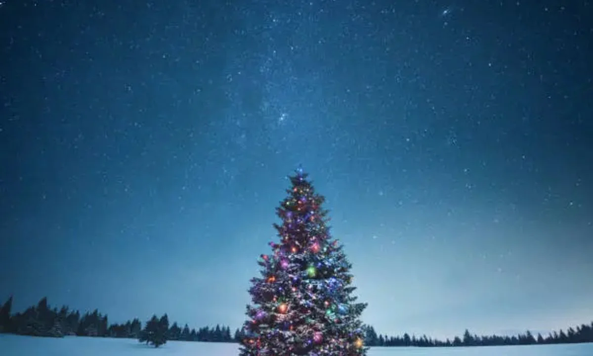 Short Christmas Puns for Cards, Gifts & Captions