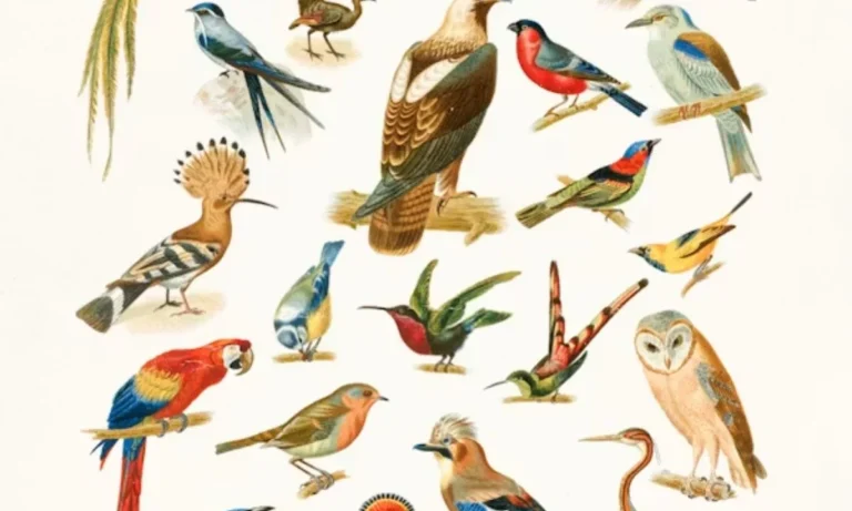 Bird Puns