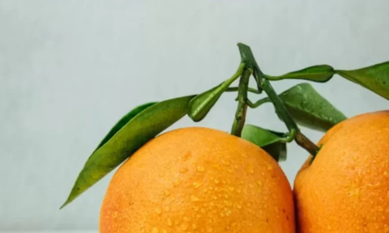 Orange Puns