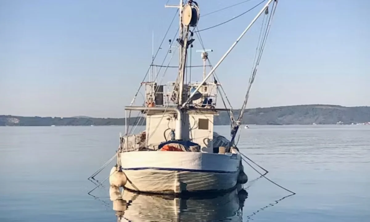 Clever Boat Puns That Never Sink