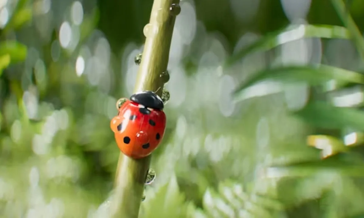 Bee, Butterfly, Ladybug, and Ant Bug Puns