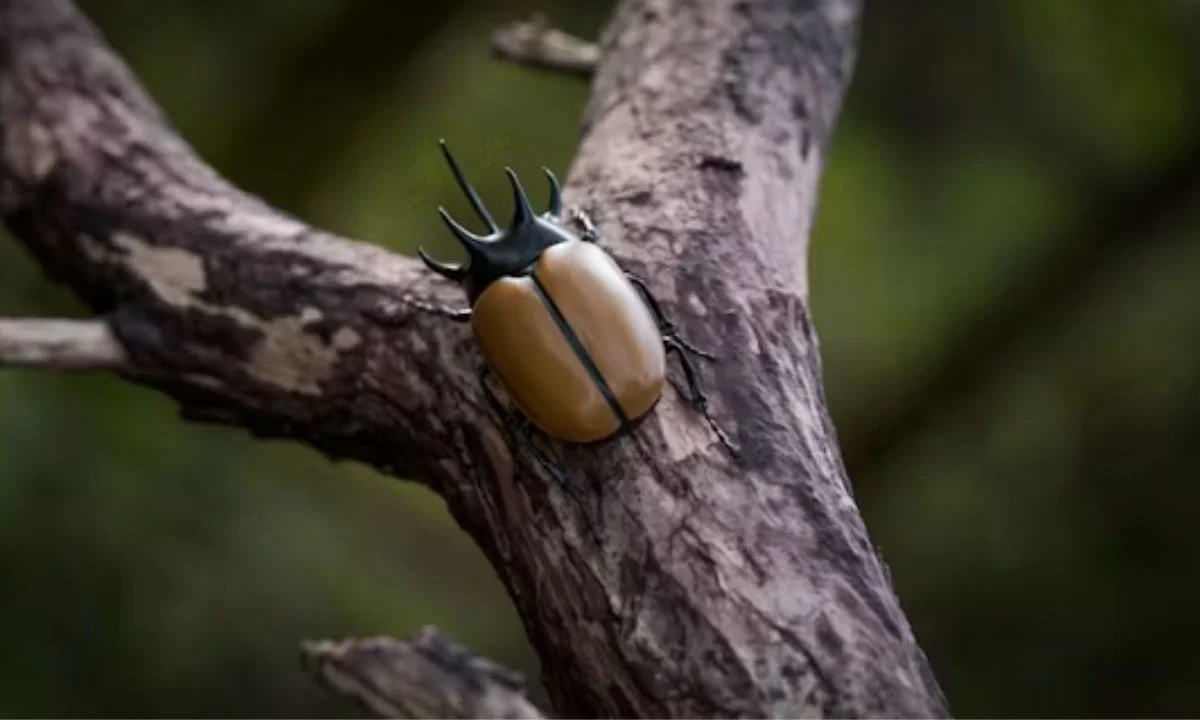 Bug Puns for Instagram Captions and Social Media Posts
