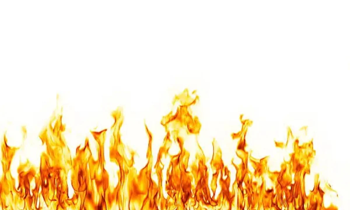 Cute Fire Puns That Will Warm Your Heart