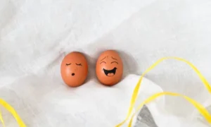 Pun Jokes