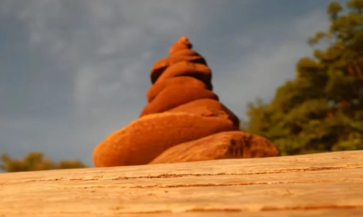 Funny Poop Puns to Make Everyone Laugh