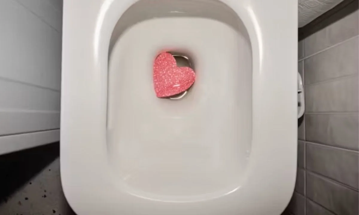 Poop Jokes, Quotes & Punny Sayings