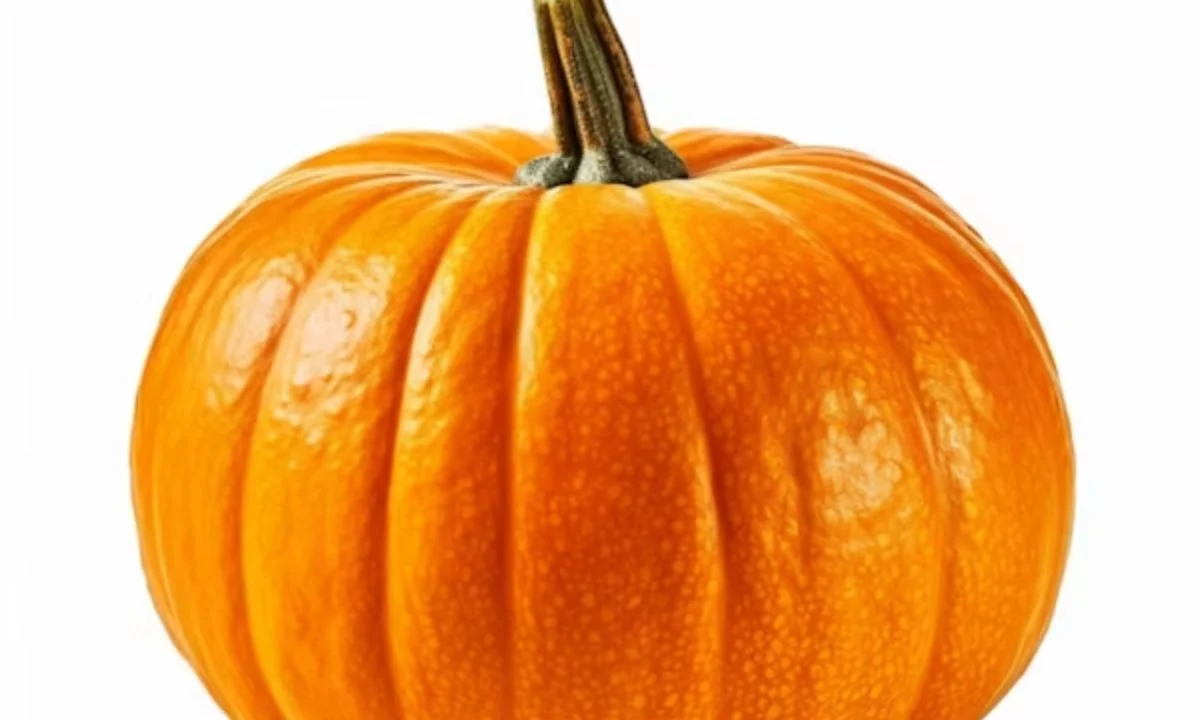 Short Pumpkin Puns and One-Liners