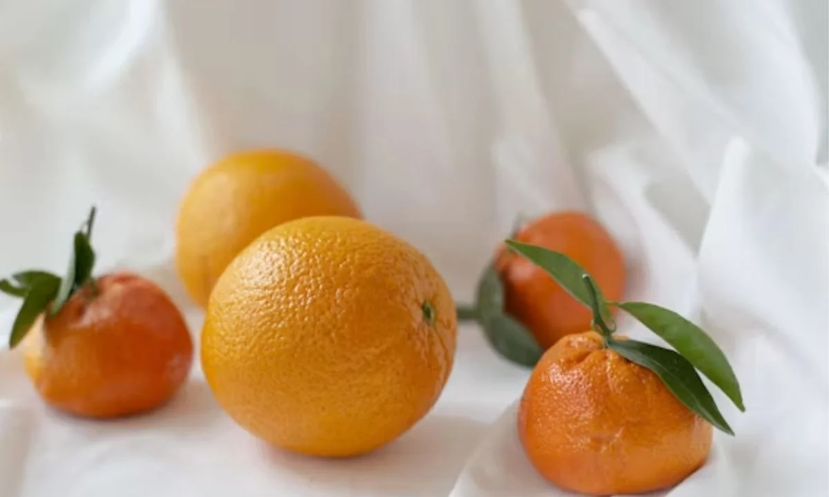 Cute Orange Puns for Kids, Friends & Everyday Smiles