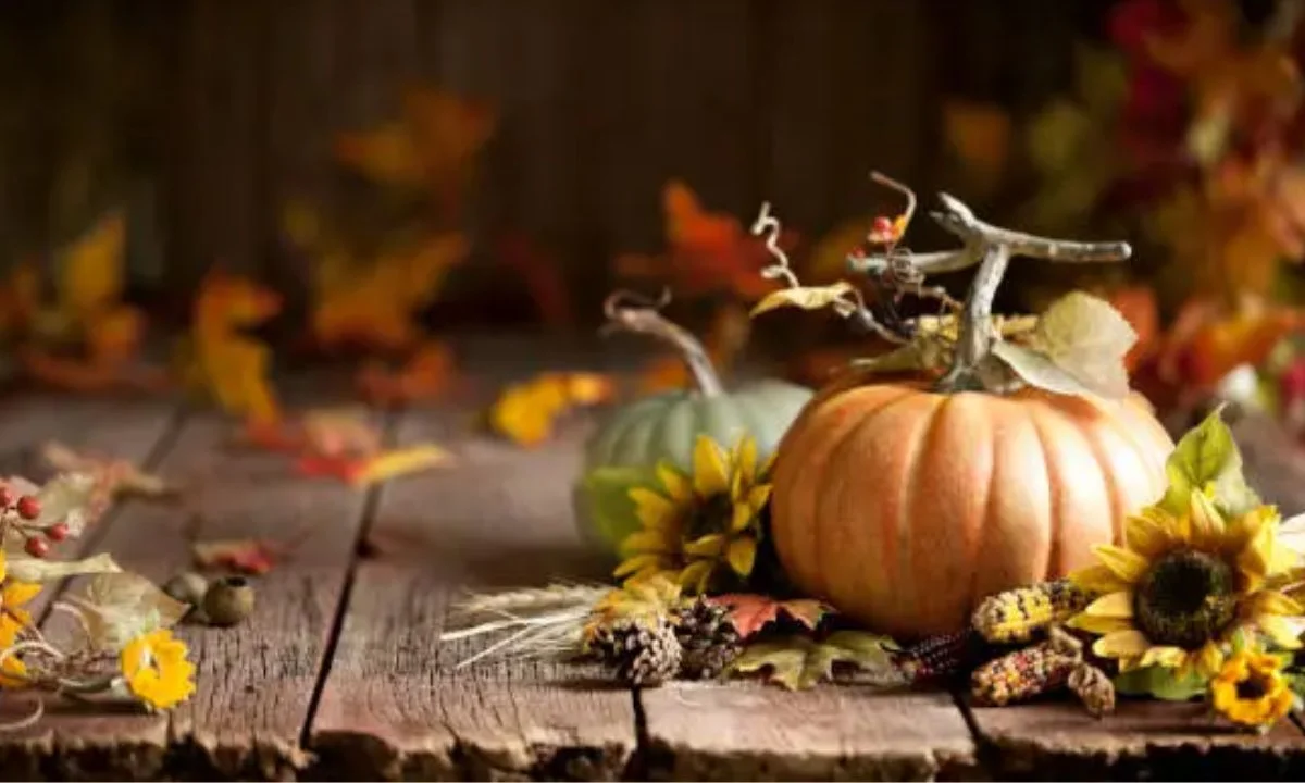 Cute Pumpkin Puns for Kids, Friends & Family