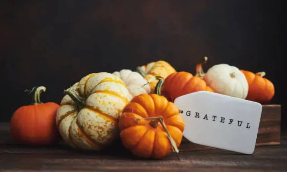 Best Pumpkin Puns That Everyone Will Love