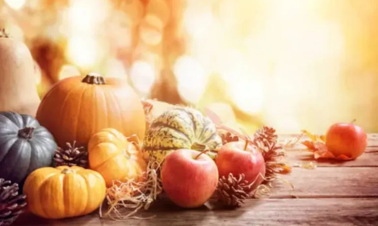 Pumpkin Puns