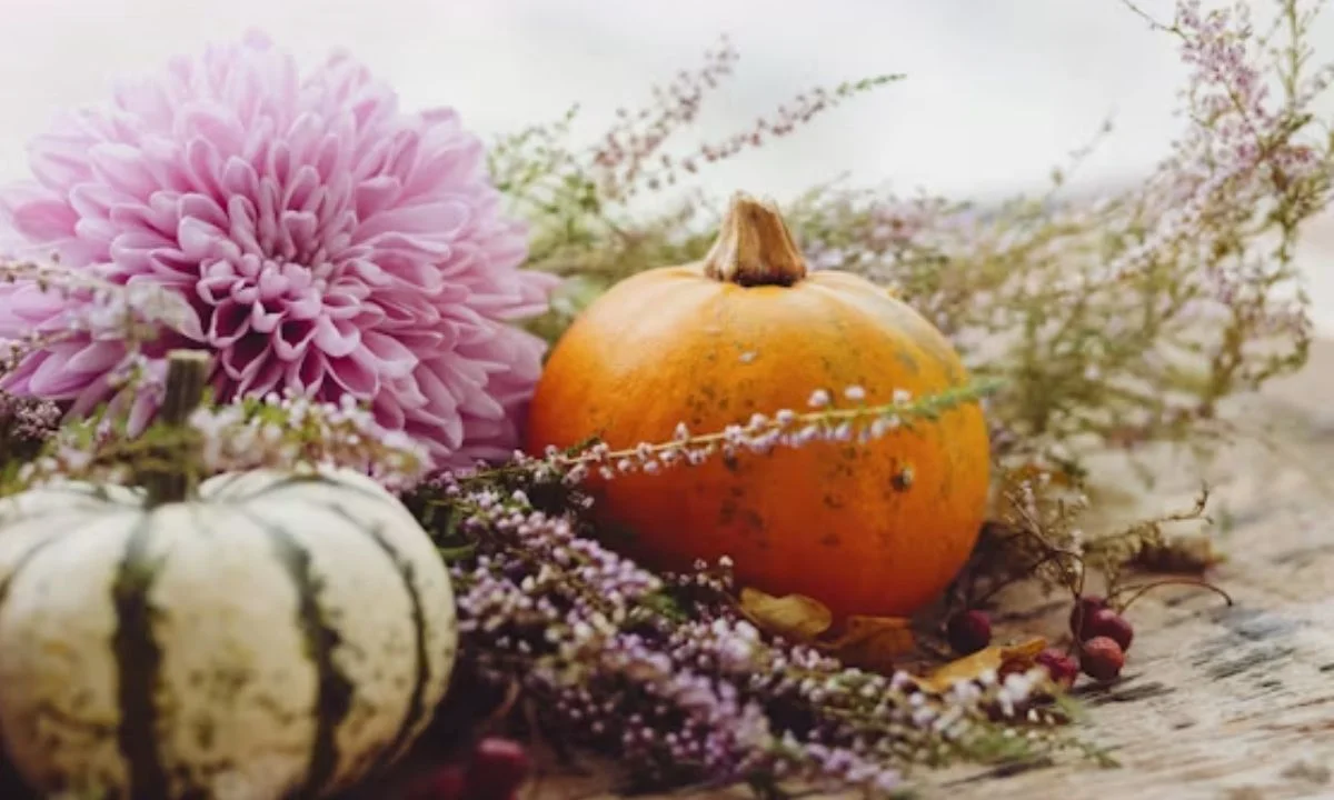 Pumpkin Spice Puns for Every Fall Fan