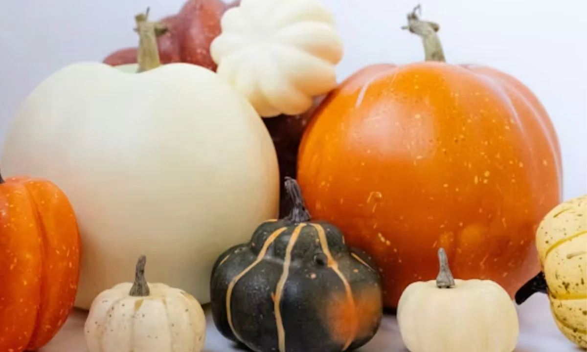 Halloween Pumpkin Puns That Are Wickedly Funny