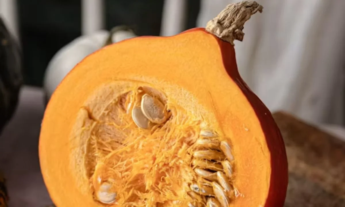 Clever Pumpkin Jokes, Wordplay & Pun Names