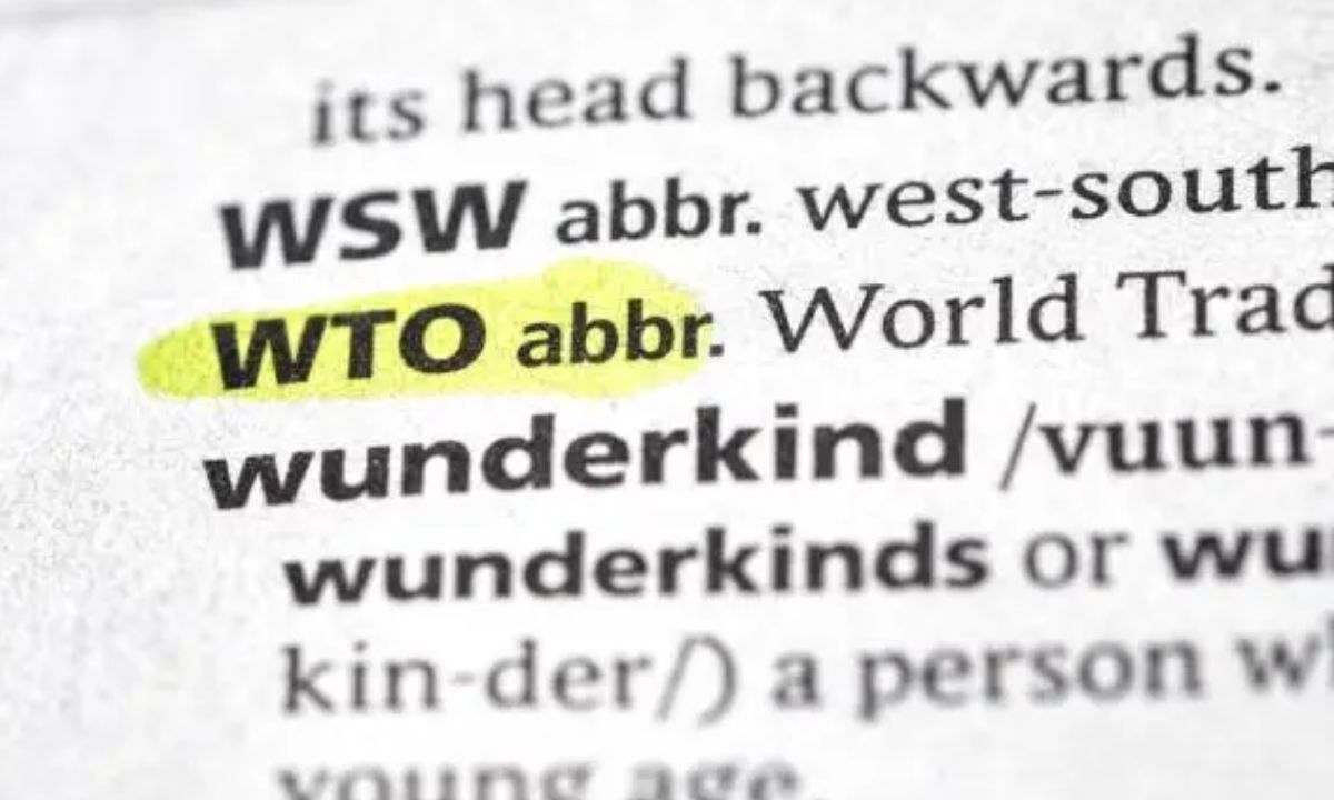 Does WTD Mean "What To Do" or Something Else?